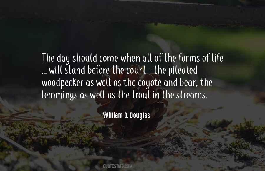 Streams Of Life Quotes #782778