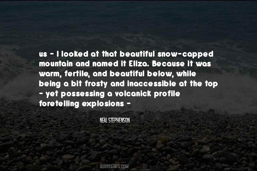 Being At The Top Quotes #95113