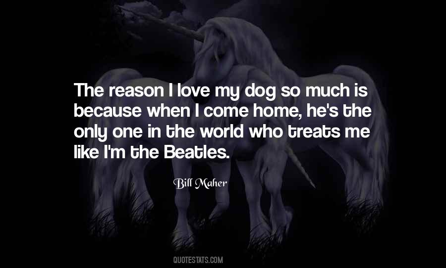 Dog Love Me Quotes #833626