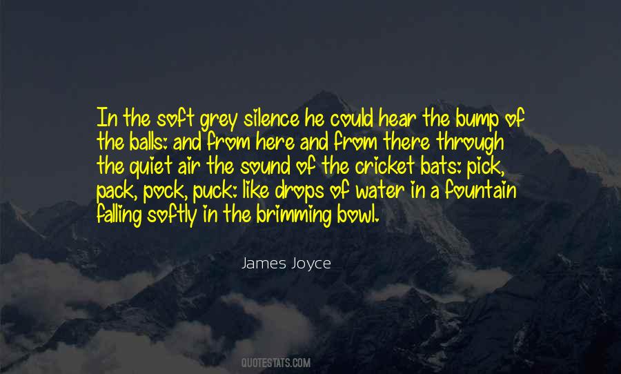 Water Balls Quotes #1524194