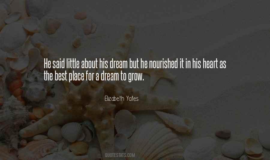 Quotes About Goals Dreams #225911