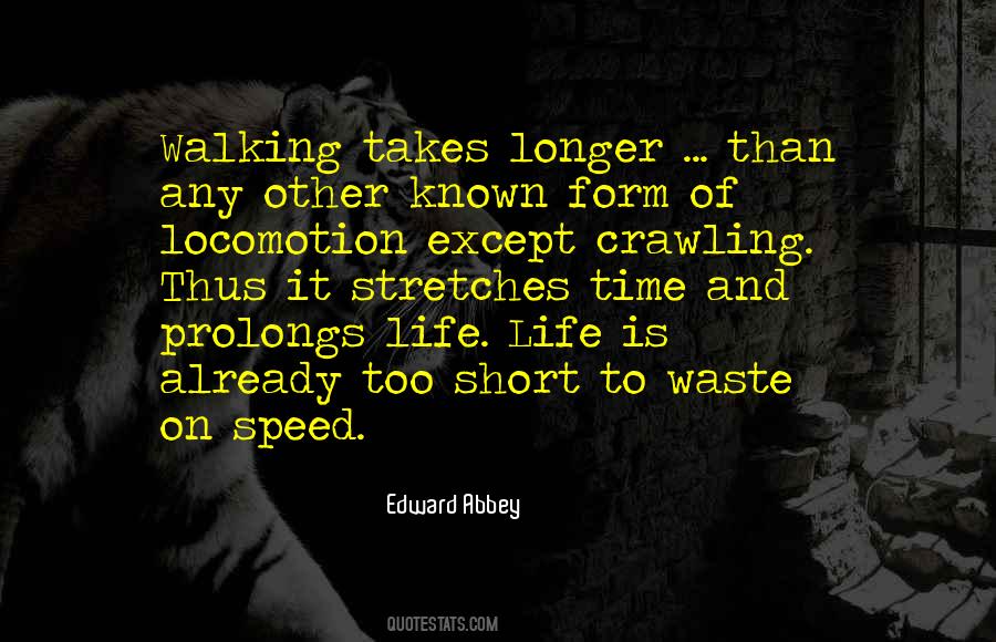 Hiking And Walking Quotes #503477