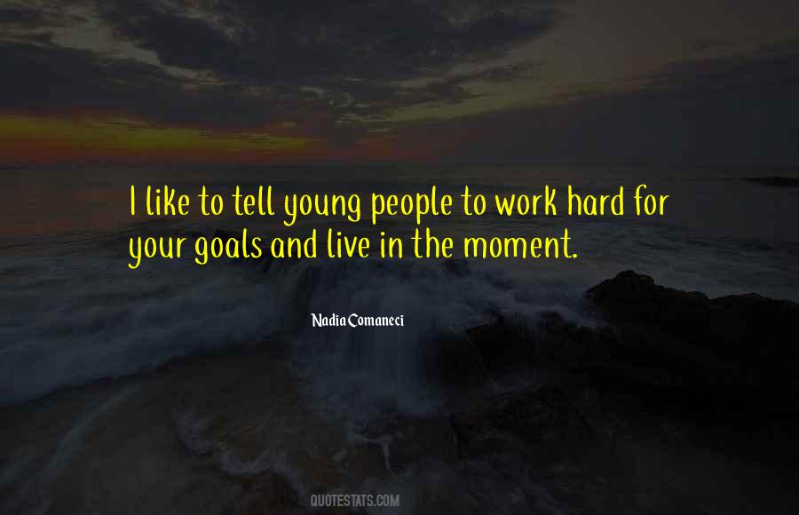Quotes About Goals And Hard Work #1489704