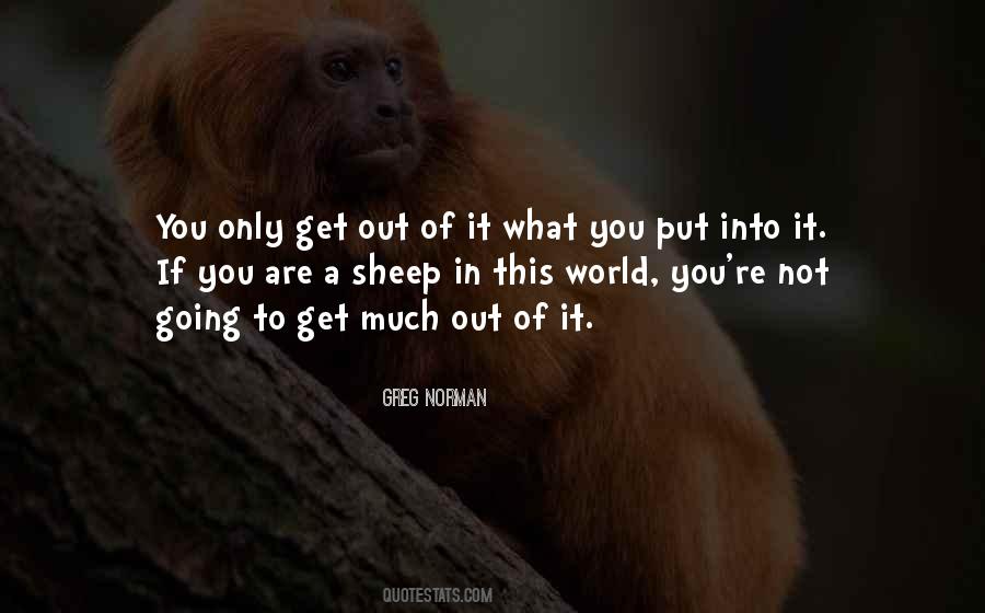 You Only Get What You Put In Quotes #186650