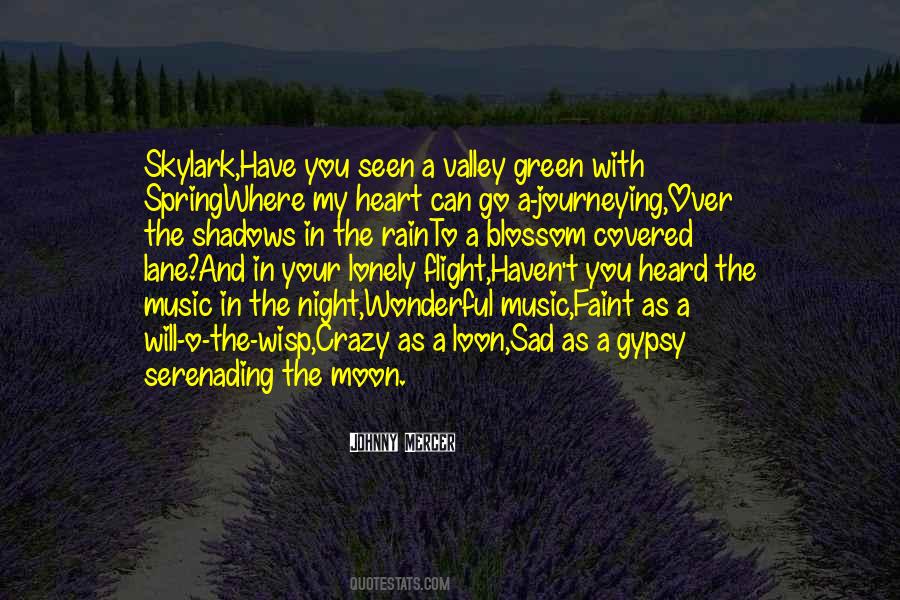 Wonderful Music Quotes #966554