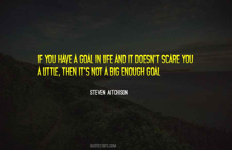 Quotes About Goal In Life #801702