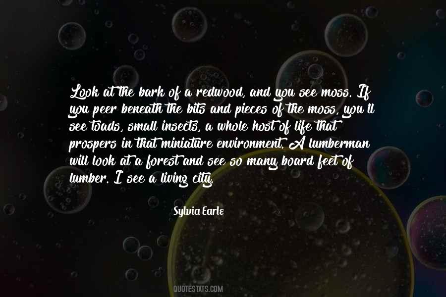 I Look At You And See Quotes #1390609