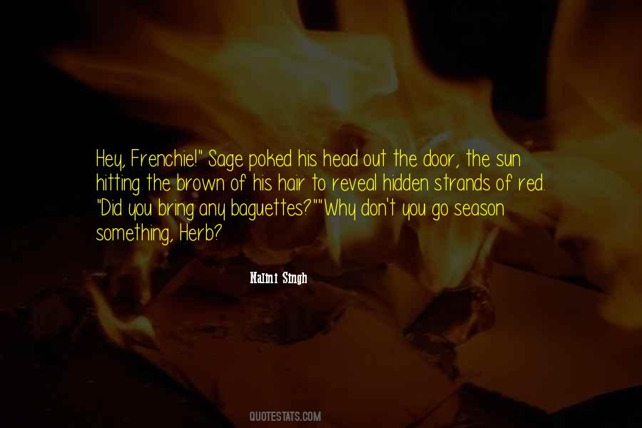 Hidden Door Quotes #639919