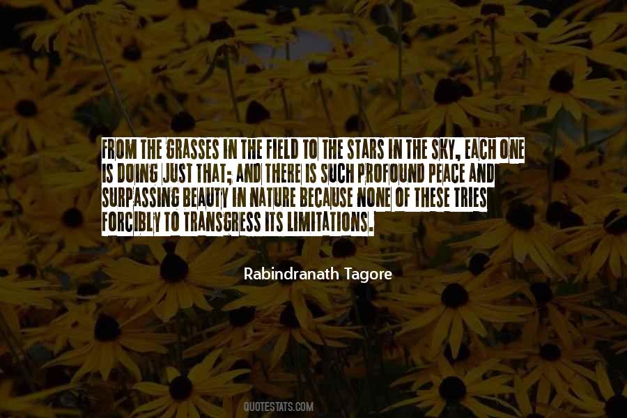 Quotes About Peace Of Nature #565354