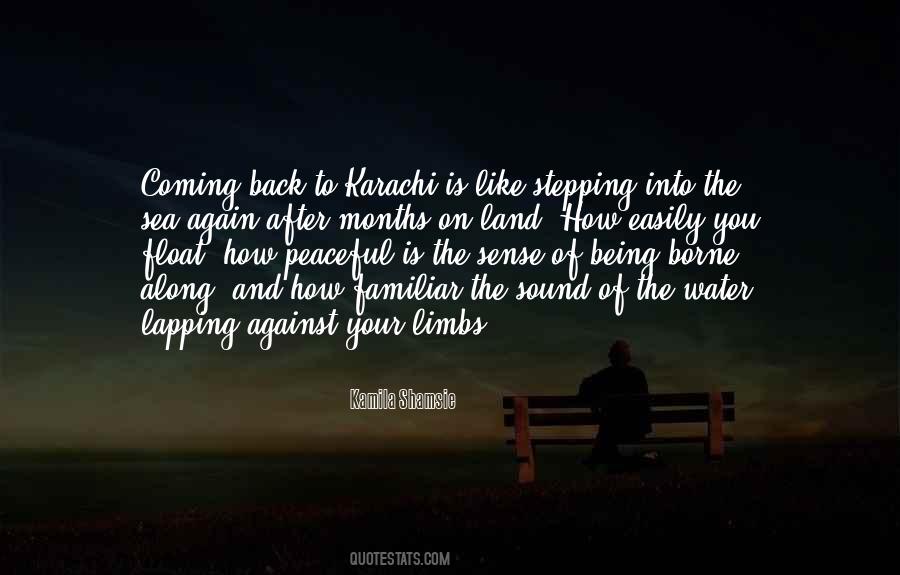 Back To Sea Quotes #1706181