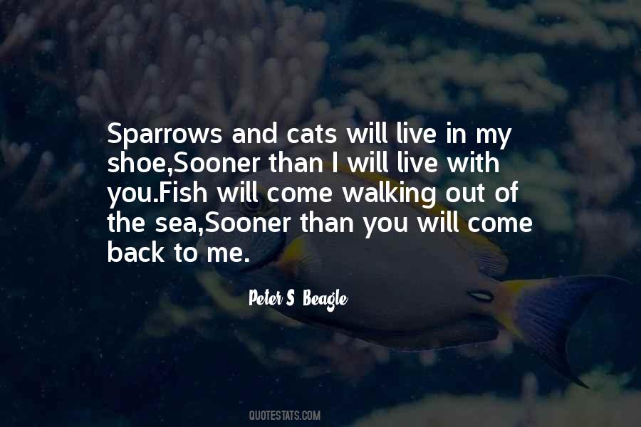 Back To Sea Quotes #51729