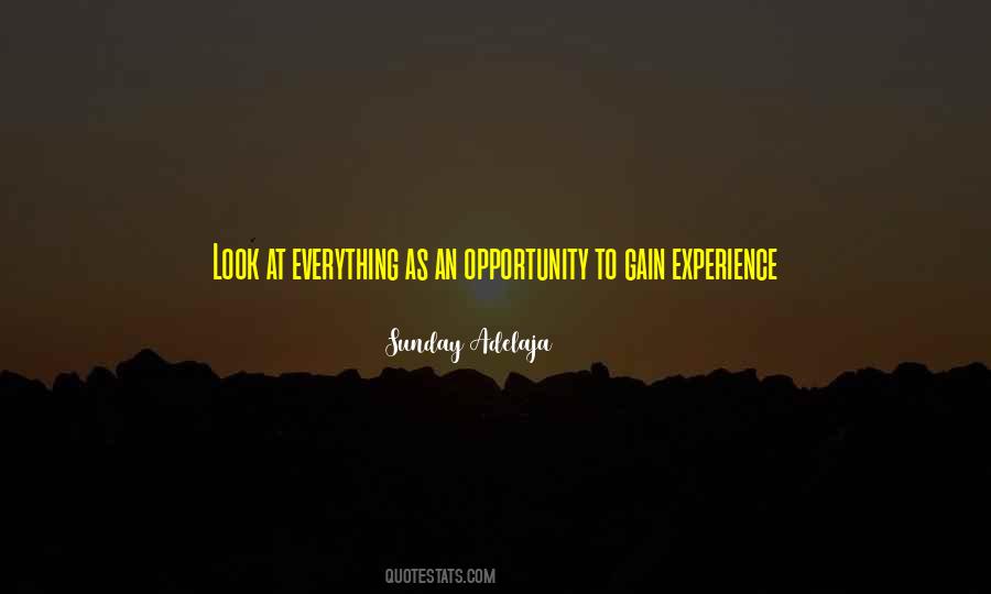 Gain Experience Quotes #188293