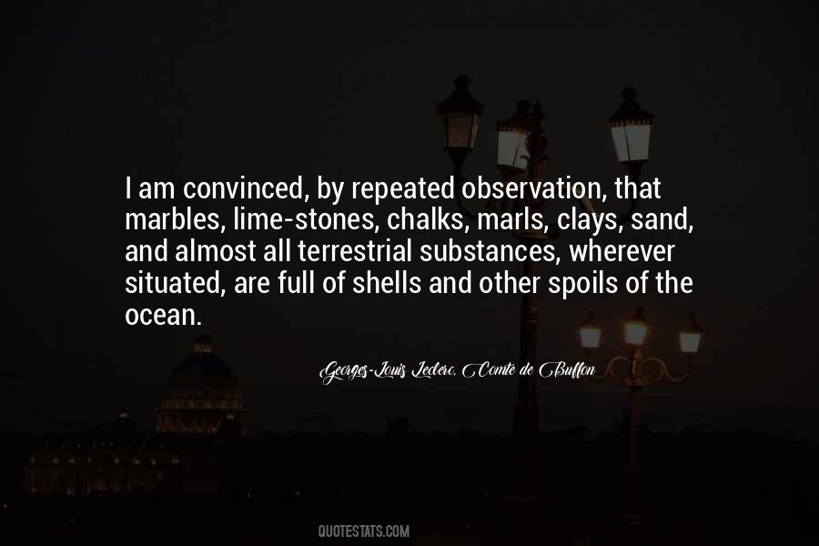 I Am The Ocean Quotes #1673717