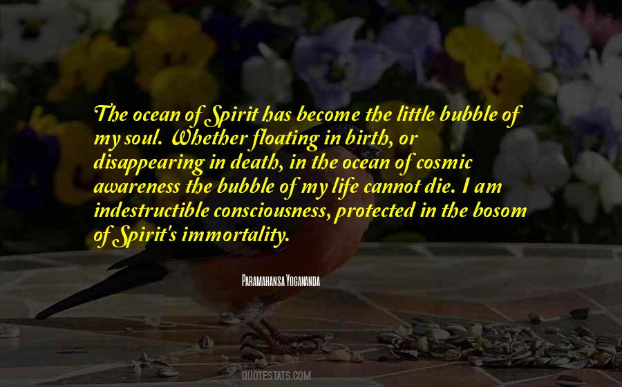 I Am The Ocean Quotes #232240