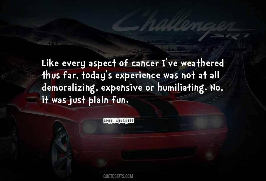 Fun Experience Quotes #733403