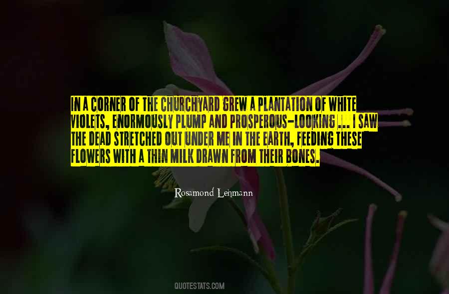 The White Earth Quotes #158499