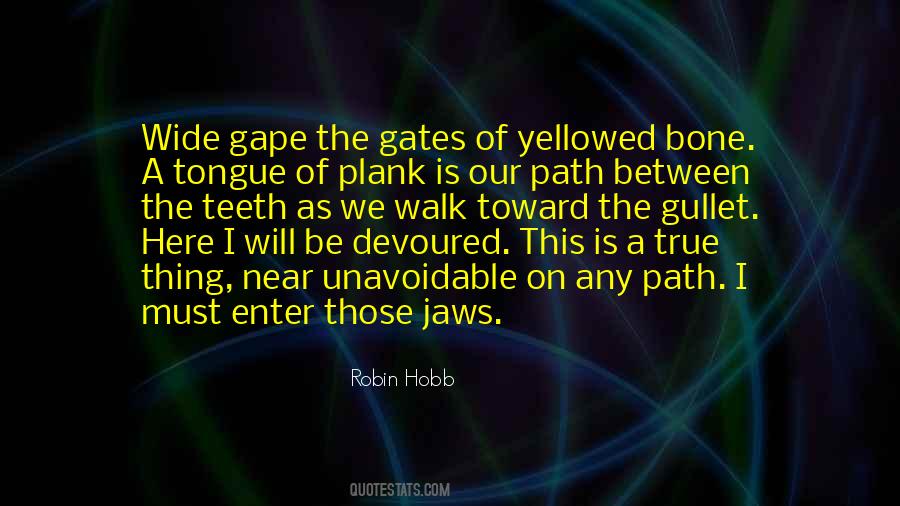 Robin Hobb Fool Quotes #1328755