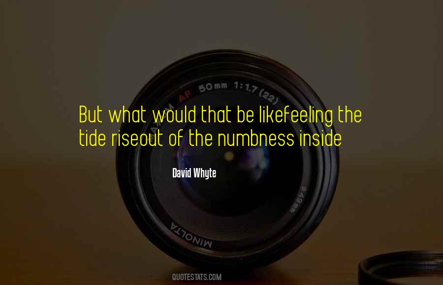 Feeling Inside Quotes #9658