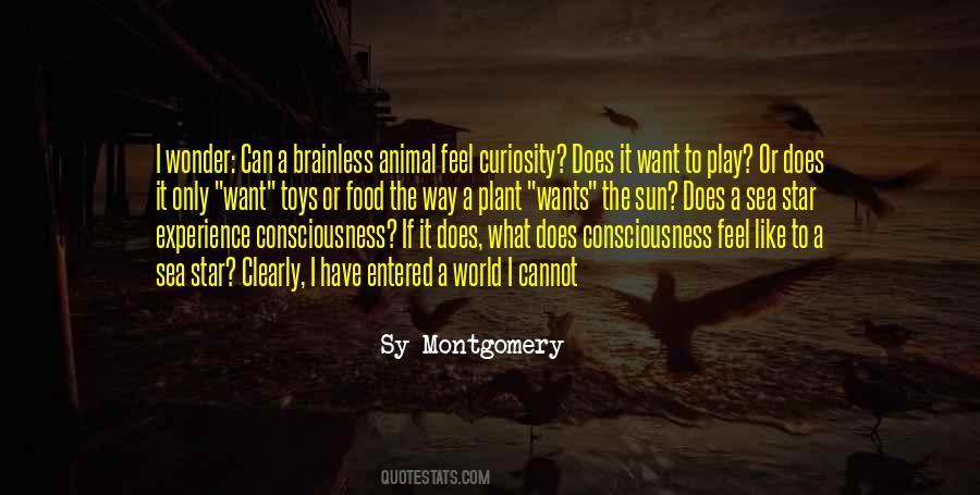Play Toys Quotes #583522