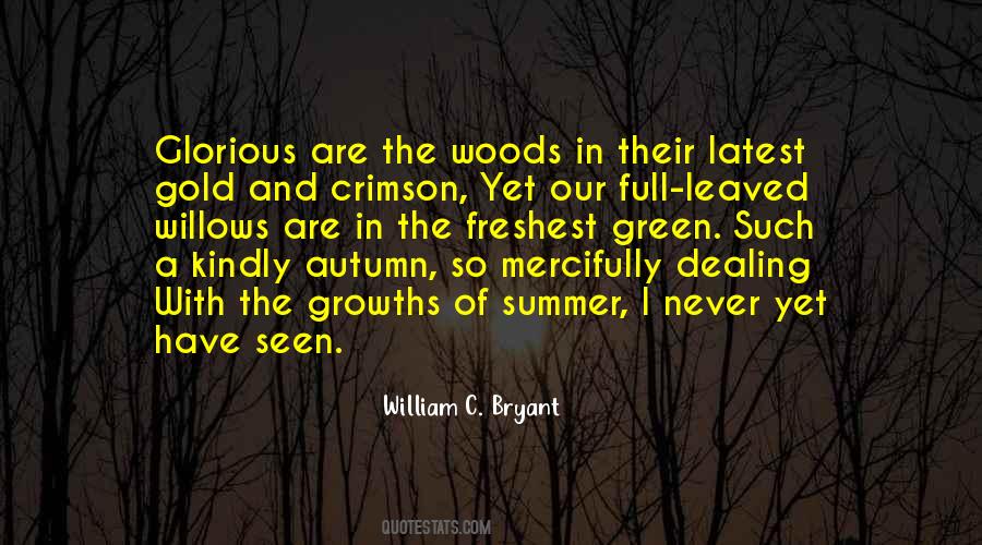 Our Summer Quotes #1485400