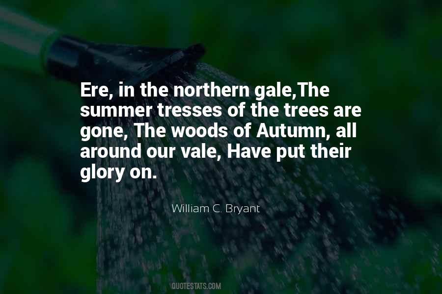 Our Summer Quotes #1650935