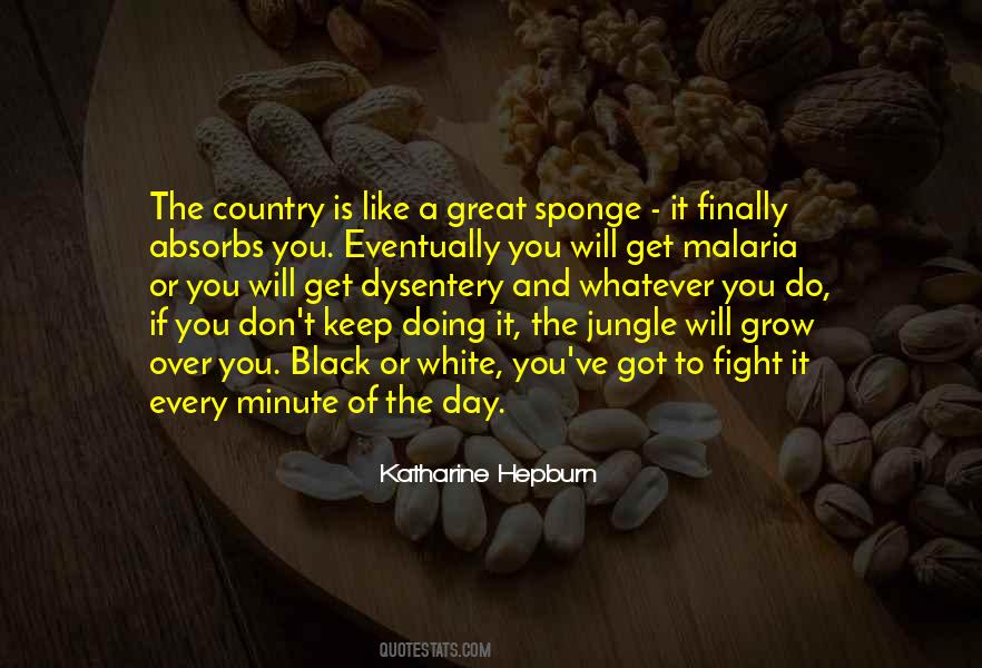 Great Black Quotes #194826