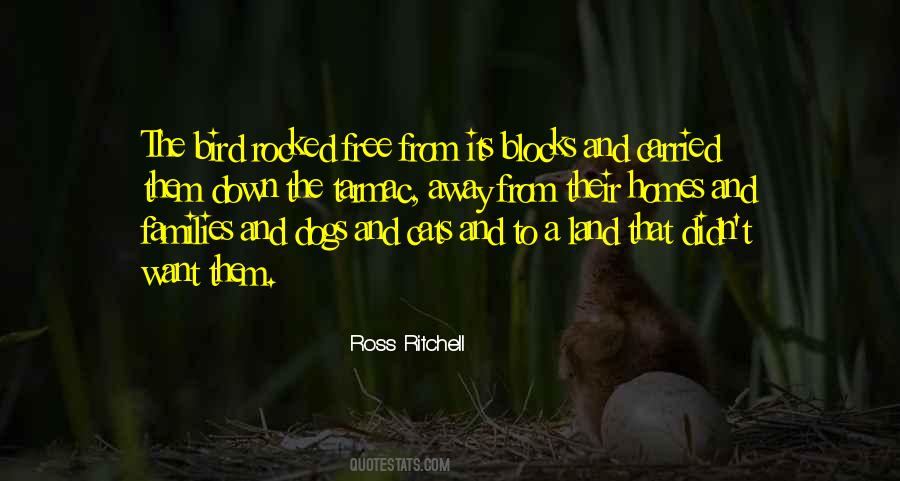 A Free Bird Quotes #529627