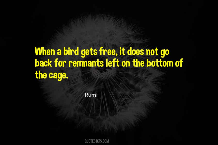 A Free Bird Quotes #737171