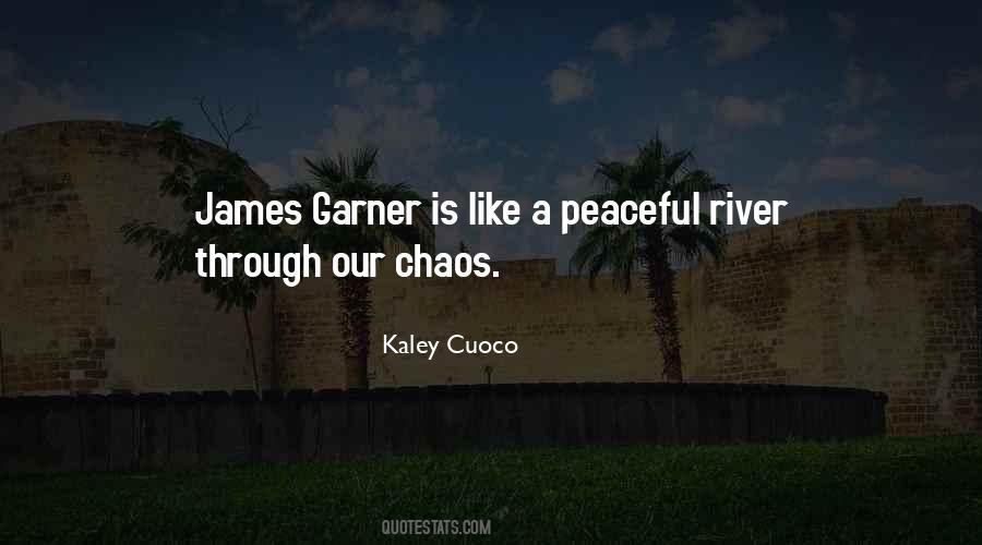 Through Chaos Quotes #333583
