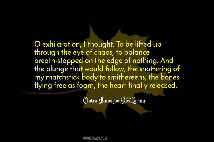 Through Chaos Quotes #670572