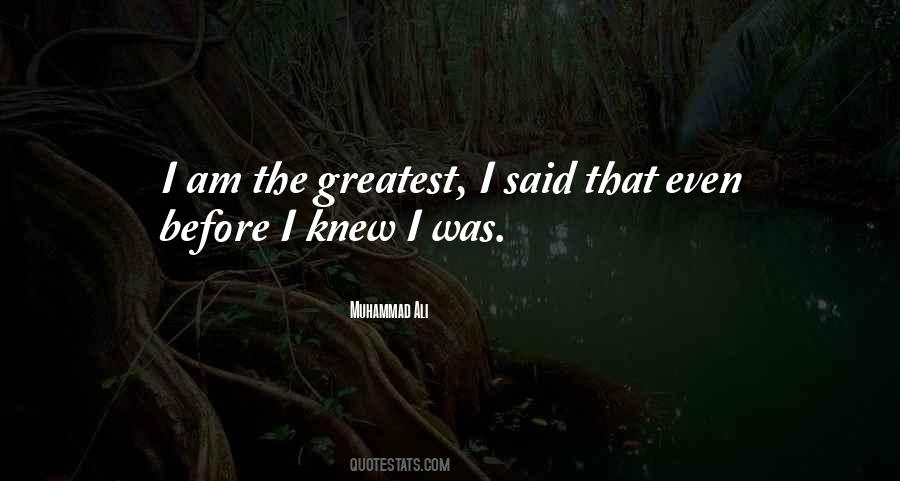 S T A L K E R Monolith Quotes #1865353