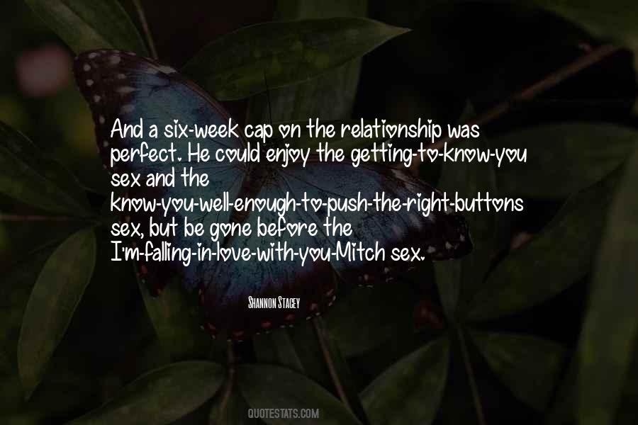A Perfect Relationship Quotes #1419200