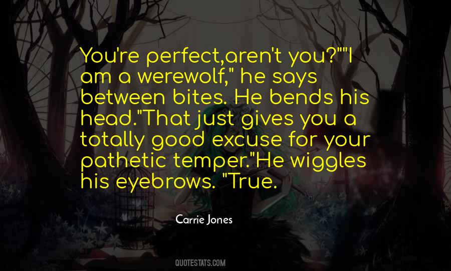 Too Perfect To Be True Quotes #660063