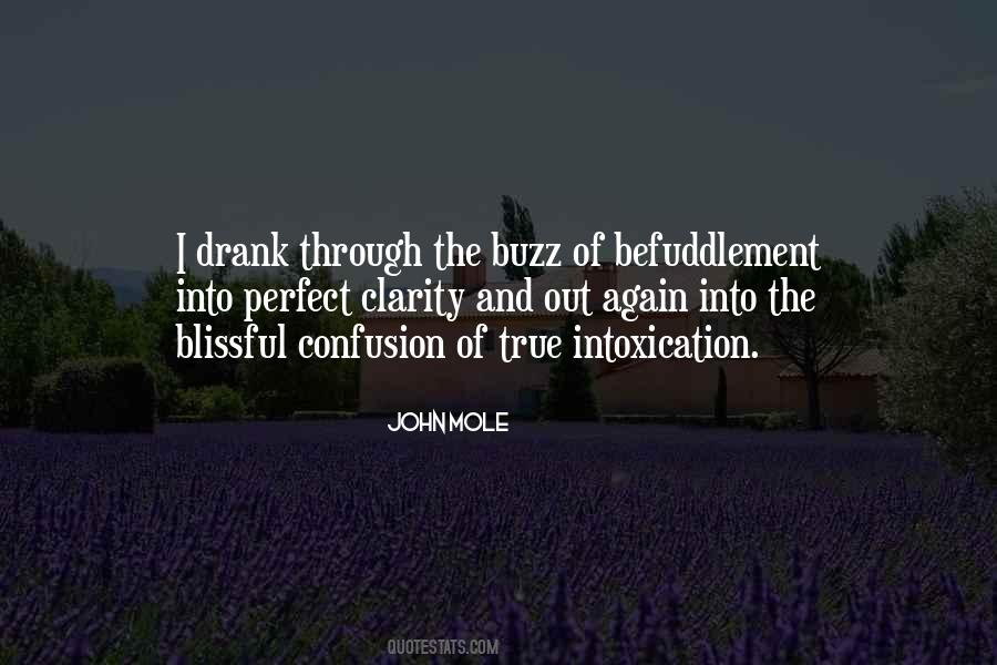 Too Perfect To Be True Quotes #815704