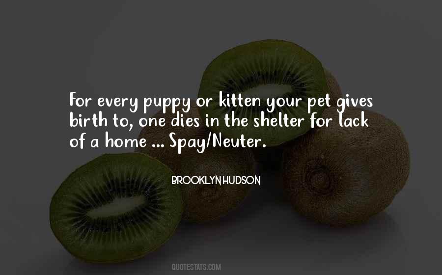 Shelter Pet Quotes #951291