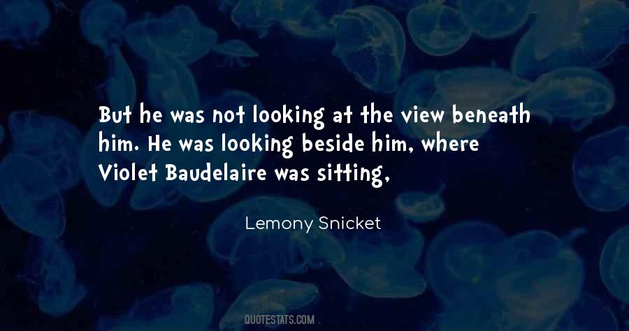 Looking At The View Quotes #1655642