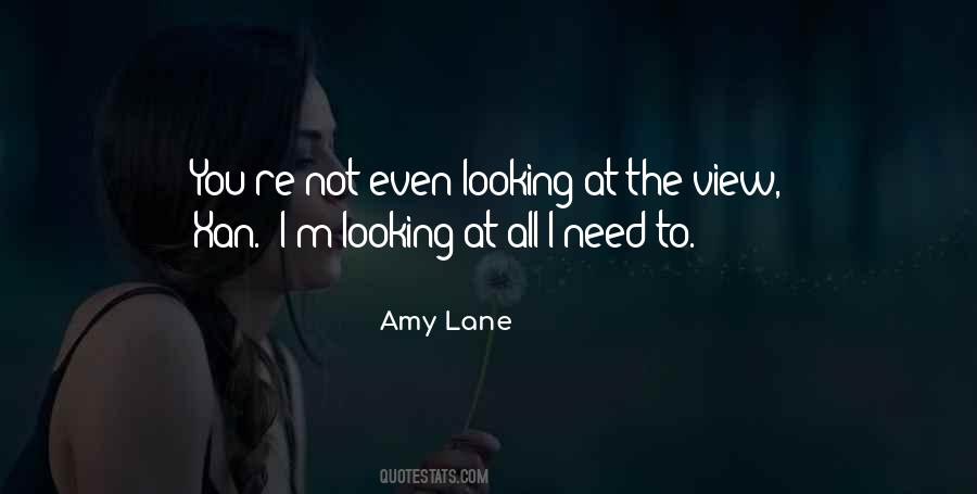 Looking At The View Quotes #380122