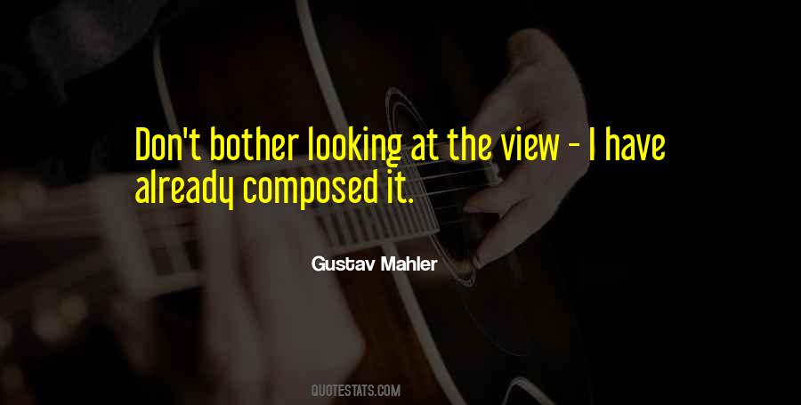 Looking At The View Quotes #44705