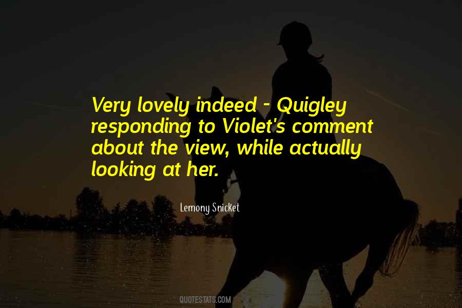Looking At The View Quotes #891877