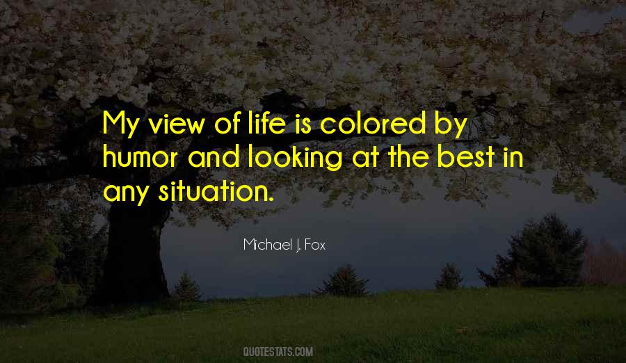 Looking At The View Quotes #982045