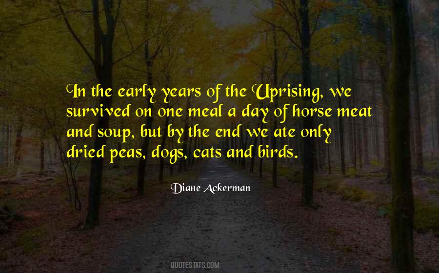 Soup Of The Day Quotes #1432390