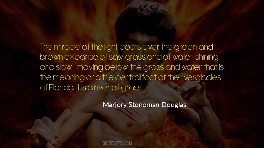Green Green Grass Quotes #1435223