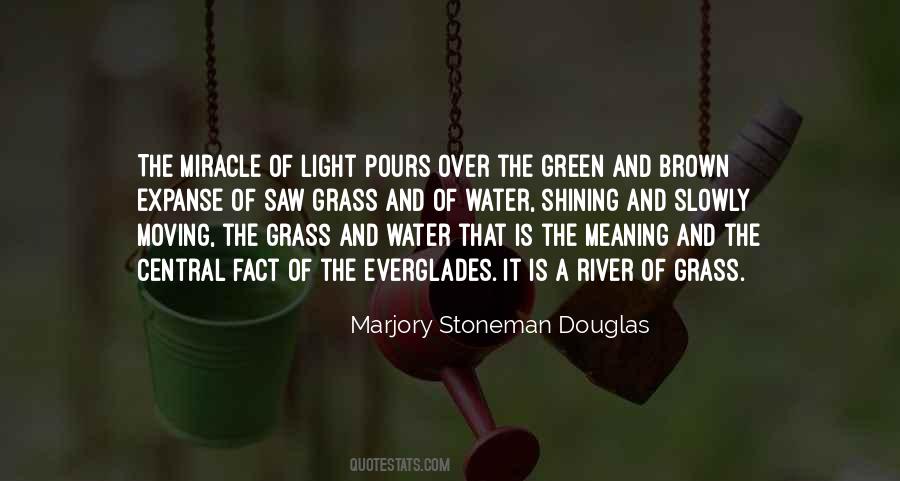 Green Green Grass Quotes #446600