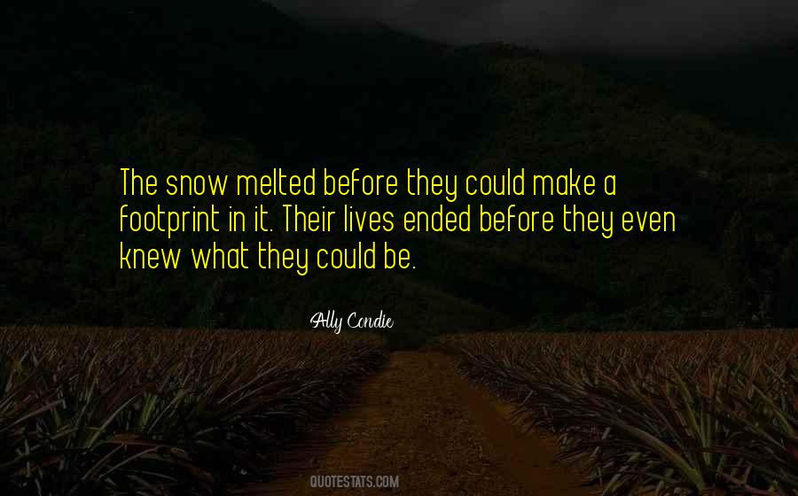 Before The Snow Quotes #376268