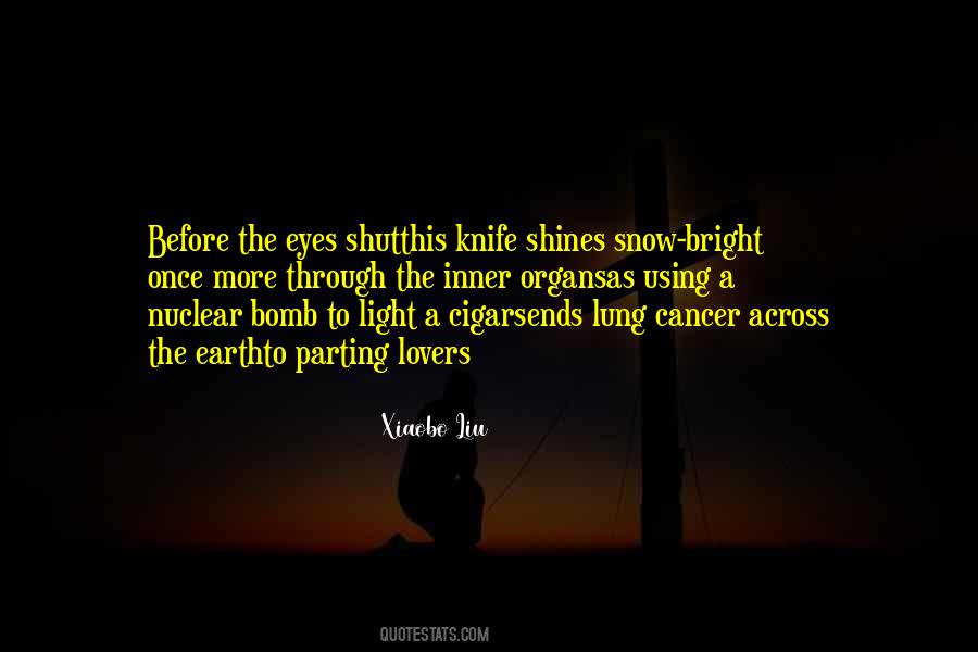 Before The Snow Quotes #772572