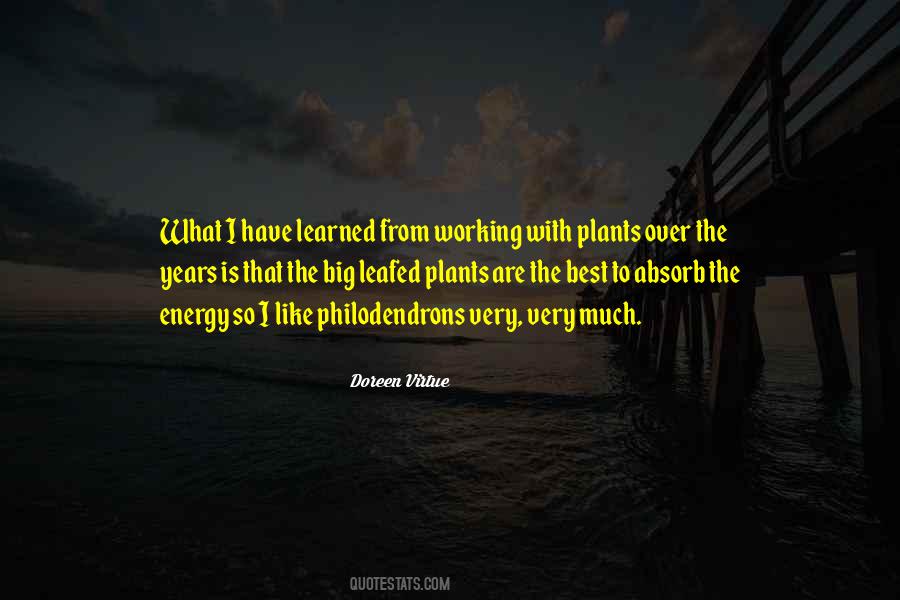 Plants With Quotes #854813