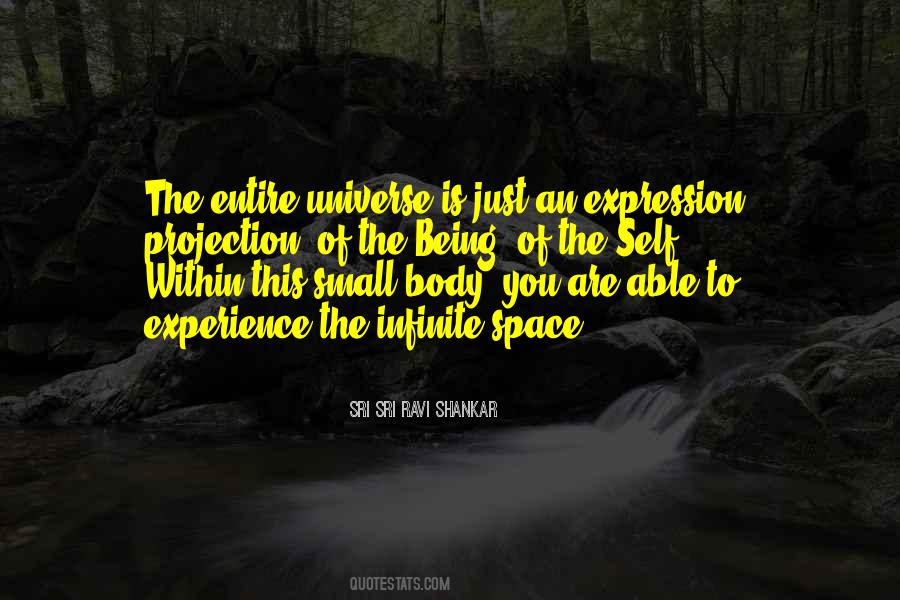 Small Body Quotes #1613904