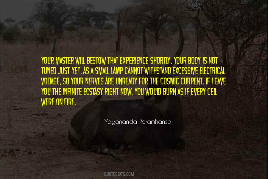 Small Body Quotes #484574