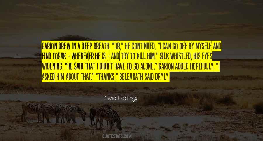 Garion Quotes #912775