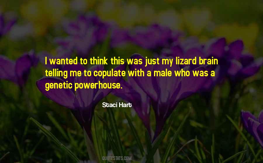 The Male Brain Quotes #1137278